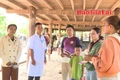 Gia Lai duy trì thành quả loại trừ bệnh sốt rét 