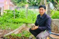 Anh Nguyễn Cảnh Bá- Bí thư Đoàn xã Kon Thụp kiểm tra số mai vàng vừa được chi đoàn mang lên để gom đợi đến ngày ra quân trồng. Ảnh: N.H