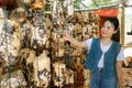 Nghề trồng nấm ở Krông Ana