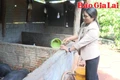 Nguồn vốn tín dụng chính sách tại Đak Đoa-Bệ đỡ cho an sinh và phát triển bền vững 
