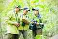 “Nhà khoa học” của rừng