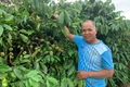 Nông dân Gia Lai làm theo Bác bằng những mô hình sản xuất hiệu quả