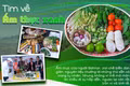 Tìm về ẩm thực xanh