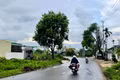 Gia Lai: Phê duyệt dự án đường Trần Văn Bình với tổng mức đầu tư 100 tỷ đồng