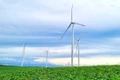 Trang trại Phong điện HBRE Chư Prông có công suất 50 MW, gồm 12 tua-bin gió. Ảnh: Vũ Thảo