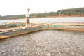 20 hộ dân xã Kon Gang được tập huấn nuôi cá điêu hồng trong lồng bè 