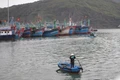 Gia Lai: Không còn tàu cá nằm trong vùng nguy hiểm của bão số 11