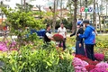 Toàn cảnh Gia Lai 24h: Chợ hoa giáp Tết-Sắc xuân vẫn rực, sức mua trầm hơn