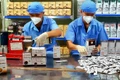Ia Hrung đột phá trong sản xuất bền vững