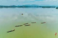 Sức sống mới bên dòng Pô Kô