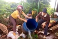Kiểm soát, hạn chế dịch bệnh truyền nhiễm