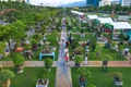 Quảng trường Quy Nhơn là không gian lý tưởng để tổ chức các sự kiện sinh vật cảnh quy mô lớn. Ảnh: Ngọc Nhuận