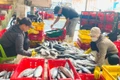 Nghề cá xa bờ nâng cao năng suất