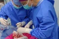 Trung Quốc lần đầu thành công ca cấy ghép phổi heo vào cơ thể người