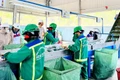 Tăng cường xử lý rác thải bằng công nghệ hiện đại