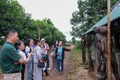 Người kể chuyện đại ngàn, biển xanh