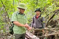Cán bộ Trạm Quản lý bảo vệ rừng và người dân tháo gỡ bẫy kẹp trong rừng Canh Tiến - Hồ Núi Một. Ảnh: D.Đ