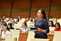 Đại biểu Quốc hội Lý Tiết Hạnh đề nghị bổ sung các quy định để bảo vệ môi trường gắn với phát triển bền vững.