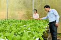 Đồng hành cùng nông dân phát triển bền vững