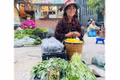 Mộc mạc chợ chiều vùng cao