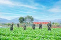 Tăng gia sản xuất, bảo đảm nguồn thực phẩm sạch cho bộ đội
