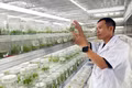 Người gieo rừng trong bình thủy tinh