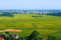 Triển khai cơ chế, chính sách đặc thù để xử lý vi phạm pháp luật về đất đai trước năm 2024.