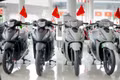 Mẫu xe máy Honda nào tương thích với xăng E10?