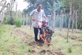 Lão nông sáng chế máy cày mini, giải phóng sức lao động