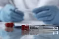 Bộ Y tế hoả tốc yêu cầu các bệnh viện tăng cường phòng chống dịch Ebola