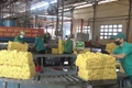 Doanh nghiệp ngành cao su chủ động thích ứng với EUDR