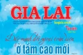 Báo Gia Lai số Tân niên Bính Ngọ 