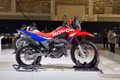 Honda XR300 Rally 2026 - Mô tô adventure đậm chất Dakar cho dân mê phượt