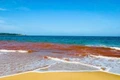 Nước biển Hoài Nhơn Bắc đổi màu không phải do hiện tượng thủy triều đỏ.