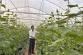 Đẩy mạnh phát triển công nghệ sinh học - Kỳ 2: Khi công nghệ sinh học tạo giá trị từ sản xuất