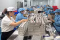 Đẩy mạnh phát triển công nghệ sinh học - Kỳ cuối: Gỡ nút thắt để công nghệ sinh học bứt phá