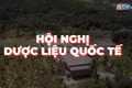 Gia Lai - điểm hẹn khoa học dược liệu quốc tế