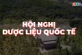 Gia Lai - điểm hẹn khoa học dược liệu quốc tế