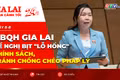 Toàn cảnh Gia Lai 24h: ĐBQH Gia Lai đề nghị bịt "lỗ hổng" chính sách, tránh chồng chéo pháp lý