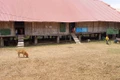  Gia Lai: Thêm một ca tử vong do bệnh dại