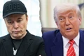 Tổng thống Trump phản ứng mạnh trước quyết định thành lập đảng mới của tỷ phú Musk