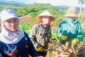 Những hạt nhân đoàn kết ở cơ sở