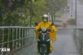 Thời tiết đêm 29 và ngày 30/6: Mưa lớn diện rộng ở Bắc Bộ