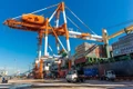 Linh hoạt thích ứng, tăng thu từ xuất nhập khẩu