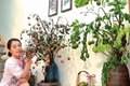 Không ngờ cắm trái cây cũng 'viral', cô giáo Phú Thọ gây sốt mạng xã hội
