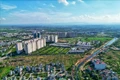 Chờ sửa luật Đất đai