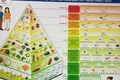 Việt Nam lần đầu có 6 tháp dinh dưỡng theo tuổi