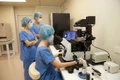 Phụ nữ độc thân có quyền sinh con bằng IVF từ ngày 1-10
