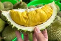 Thủ tướng Chính phủ yêu cầu ưu tiên thông quan nhanh nhất đối với nông sản tươi xuất khẩu