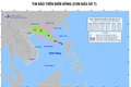 Từ Quảng Ninh đến Đắk Lắk chủ động ứng phó với bão số 7